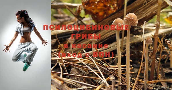 соль курить ск Алексеевка