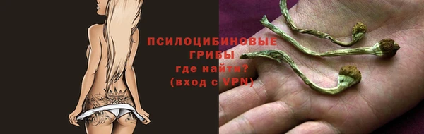 гашик Алзамай