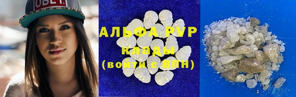 гашик Алзамай