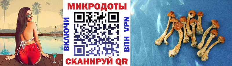 Псилоцибиновые грибы прущие грибы  наркошоп  Венёв 